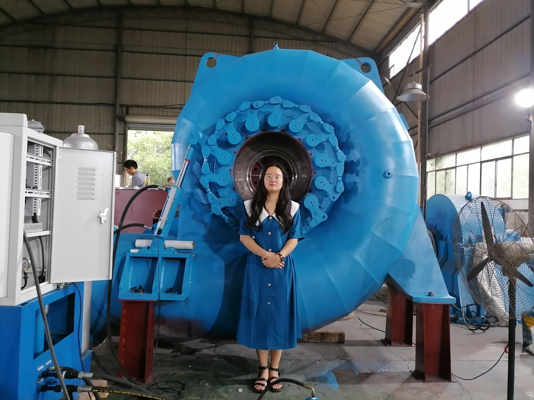 Generator Turbin Air Warna Serbaguna yang Disesuaikan untuk Berbagai Kebutuhan Daya