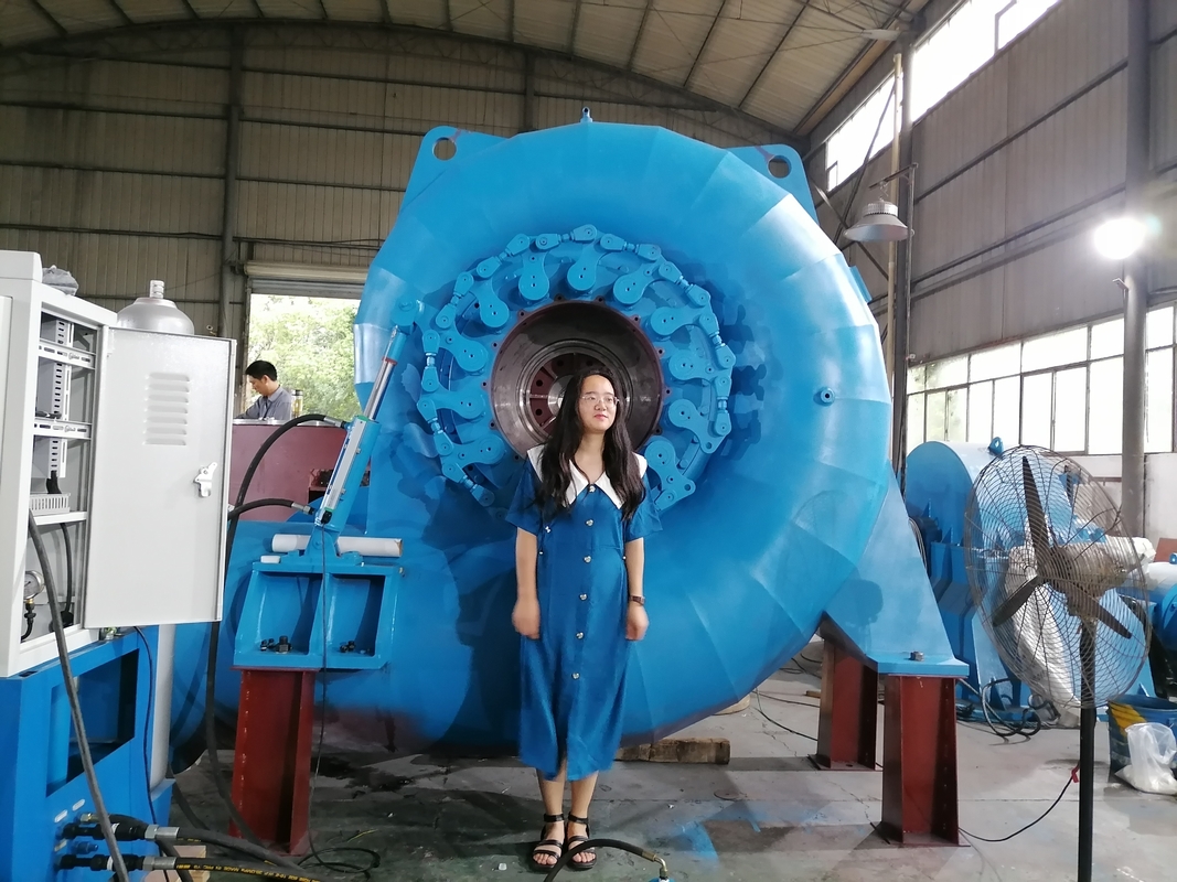 Generator Turbin Air Warna Serbaguna yang Disesuaikan untuk Berbagai Kebutuhan Daya