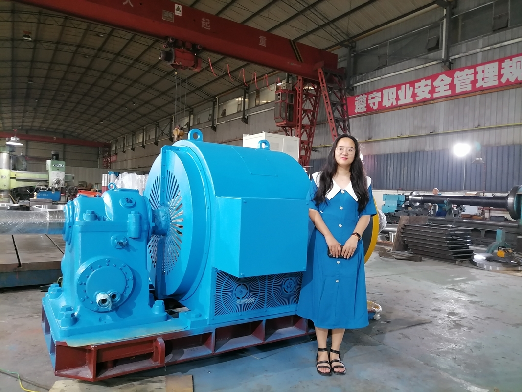 Kontrol Otomatis Penuh Generator Turbin Air Hidro Horizontal Kecil dengan Kegairahan Silikon Statik