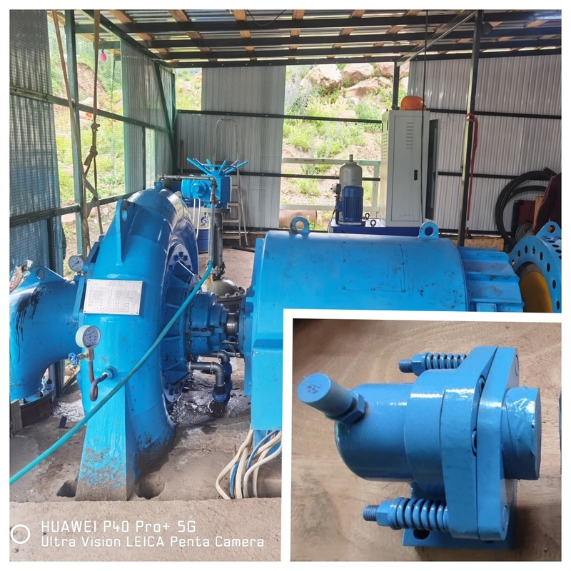 Generator Turbin Air Efisiensi Warna yang Disesuaikan untuk PLTU
