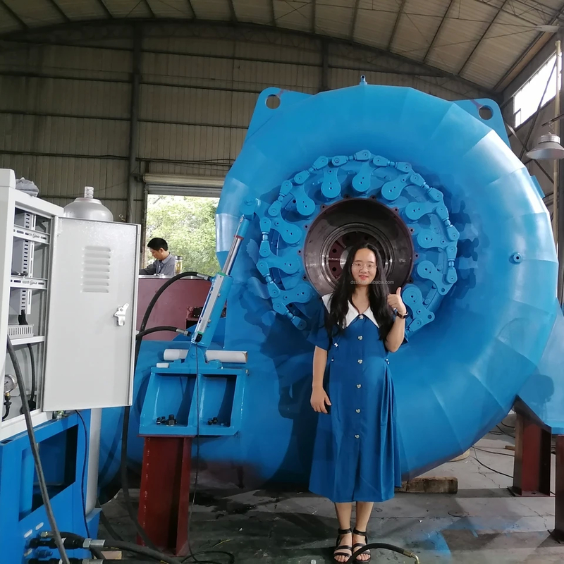 300KW-20MW Francis Turbine Generator dengan frekuensi 50Hz/60Hz dan tegangan nominal yang dapat disesuaikan