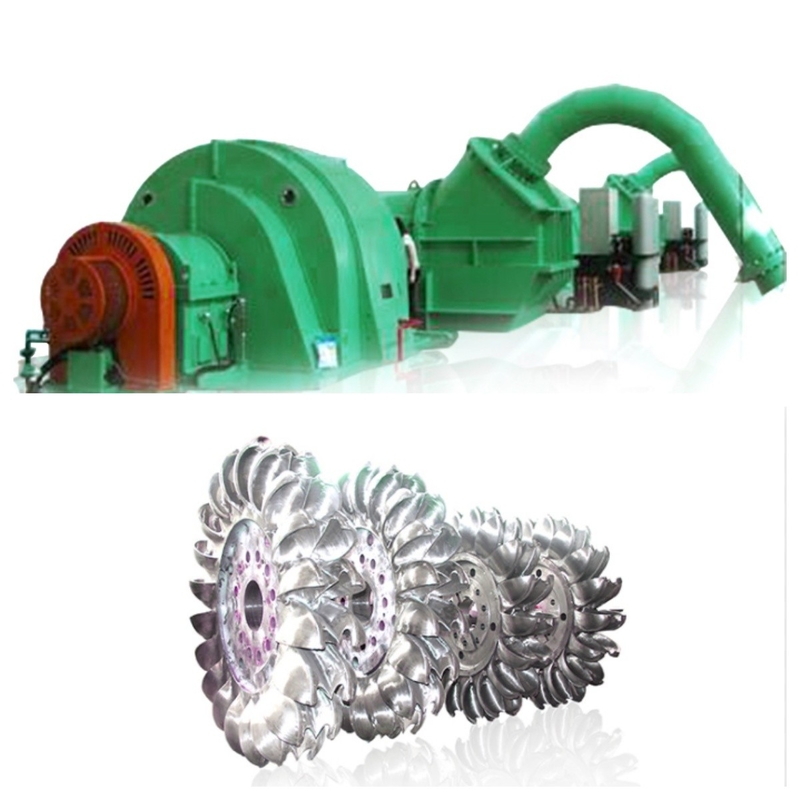 Aliran Desain yang Dapat Dikustomisasi 0,48 M3/s Untuk 1,23 M3/s PeltonR Generator Turbin Unner untuk Pembangkit Listrik Tenaga Air