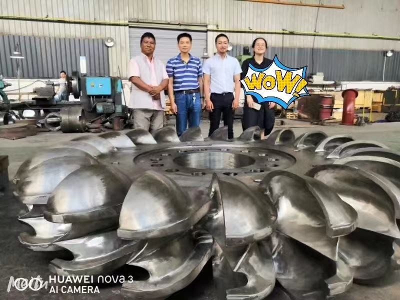 Turbin Hidro tipe blade tetap atau disesuaikan untuk pembangkit listrik tenaga air