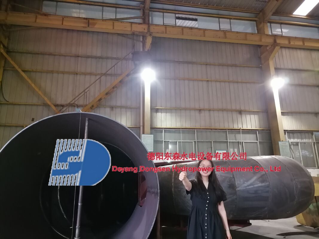 Francis Turbine Generator dengan 300kW hingga 20 MW Daya Output dan Kontrol Gubernur Otomatis untuk PLTN 50 Hz atau 60 Hz