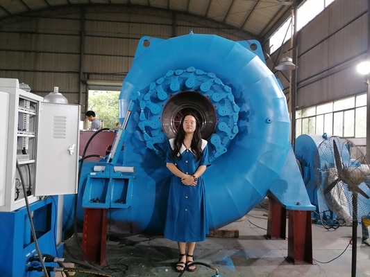Generator Turbin Air Warna Serbaguna yang Disesuaikan untuk Berbagai Kebutuhan Daya